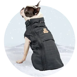 Bundy pro psy
